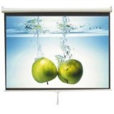 Screen View MWSSV1717L MANUAL WALL SCREEN